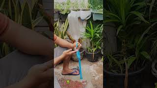 Technique to fix PVC pipe faucet low water pressure shorts [upl. by Dickinson]