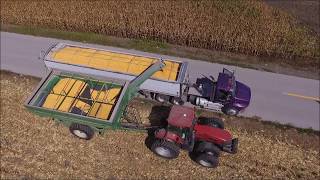 Corn Harvest 2017 Featuring Case IH Part 2 [upl. by Artenra]