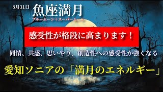 愛知ソニアの満月のエネルギー：8月31日 [upl. by Eidda262]