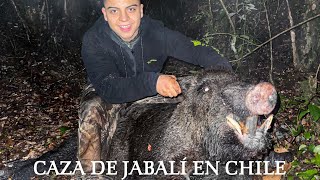 Caza De Jabalí Salvaje En Sur de Chile 200kg  Caza y Cocina Salvaje Dorhunt [upl. by Nations]