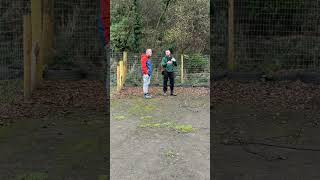 Staffordshire Bull Terrier Dog Reactivity Training Session [upl. by Odelinda]