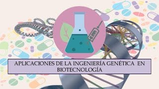 Aplicaciones de la Ingeniería Genética en Biotecnología [upl. by Cyrill]