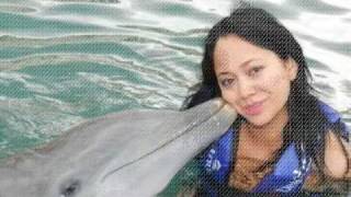 Maya Zapata comparte la pasión de Delphinus por los delfines [upl. by Yoreel]