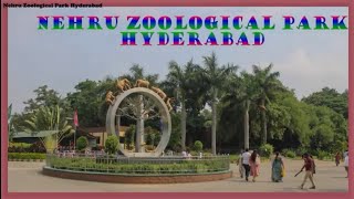 Nehru Zoological Park Hyderabad [upl. by Sagerman]