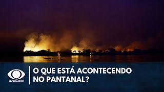 Entenda o que está acontecendo no Pantanal  Live [upl. by Hsur]