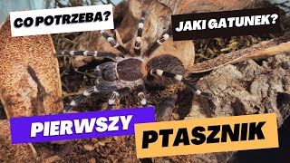 PIERWSZY PTASZNIK  CO POTRZEBA  JAKI GATUNEK [upl. by Valene699]