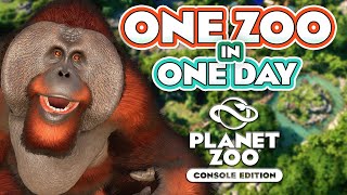 🦧 Can I Build An ENTIRE Zoo in ONE DAY  Planet Zoo Console Edition [upl. by Eromle]