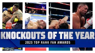 The 4 Best Knockouts of 2023  FIGHT HIGHLIGHTS [upl. by Herbst]