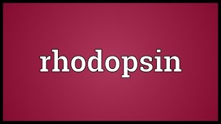 Rhodopsin Meaning [upl. by Vigen750]