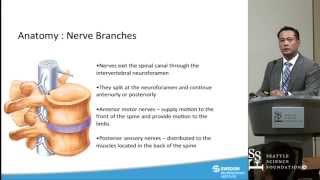 Lumbar Neurotomy by Glen David MD [upl. by Pul]