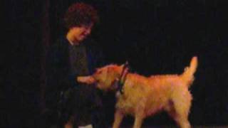 Our dog playing Sandy in the musical Annie [upl. by Ydneh]