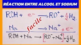 ALCOOL RÉACTION [upl. by Thane641]