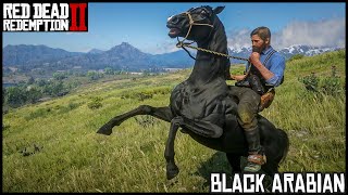 The BLACK ARABIAN  Red Dead Redemption 2 Story Mode [upl. by Buna]