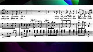 Schubert  Winterreise Gute nacht Padmore Lewisflv [upl. by Anselmi]