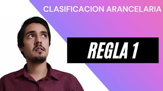 SISTEMA ARMONIZADO  REGLA GENERAL 1  CLASIFICACIÓN ARANCELARIA [upl. by Nyledam]