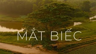 Dreamy Eyes Mắt biếc quotTrailerquot [upl. by Furmark]