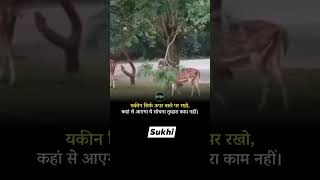 MayarabetiDosto jara dhyan se video ko last tak dekhejaise karm krogeBaisa he phal prapt hoga💞💓 [upl. by Hebert70]