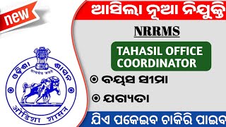 Tahasil Office Coordinator Recruitment 2024 [upl. by Arraeit]