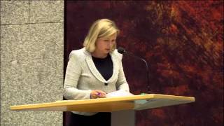 Reinette Klever  Bedrijfslevenbeleid en innovatie 2014 [upl. by Nelleh]