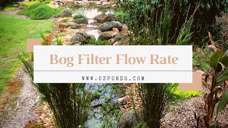 Bog filter flow rate [upl. by Aivatnahs278]