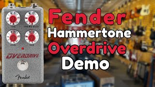 Is The Fender Hammertone Overdrive Versatile [upl. by Fatsug]