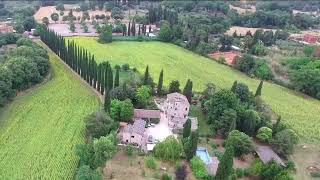 casale colleoni girasoli [upl. by Queston]