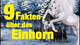 9 FAKTEN über das EINHORN [upl. by Radie577]