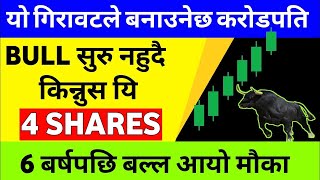 यि ४ SHARES BULL सुरु नहुदै किन्नुस  Share Market top 4 company 2024 in nepal  Blue Chip Stock [upl. by Marlie]