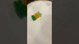 Making sprite gummy bears PT 1 sprite spritegummybears gummy bears sprite frozengummybears [upl. by Anoli]