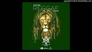 Dj Valmix The King  REGGAE SPECIALIST  2021 MIX [upl. by Desdee]