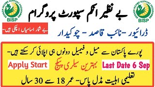 Benazir Income Support Programme jobs 2024  Driver  Naib Qasid  Chokidar  303 Post all Pakistan [upl. by Yssirk]