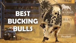 Best Bucking Bulls Ever [upl. by Kutzer]