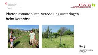 Youtube KernobstPhytoplasmaProjekt MTS Agroscope FRUCTUS [upl. by Mehsah]