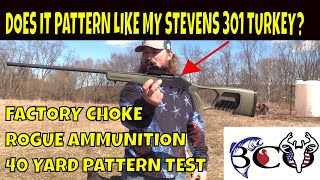 patterning the rossi 410 with stock choke amp rogue ammo  bco review [upl. by Theresina]