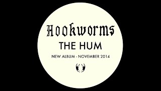 Hookworms  The Impasse Official Audio [upl. by Eissej]