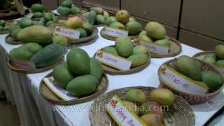 More than 400 varieties of Mangoes at Mango Festival [upl. by Viviane]