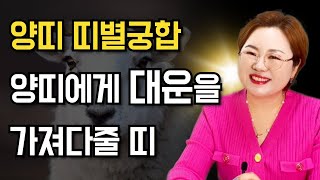 양띠 띠별궁합 🐏 양띠와 정말 잘맞는 띠와 정말 안 맞는 띠 OO띠는 겉과 속이 다르니 주의하세요 [upl. by Zzahc]