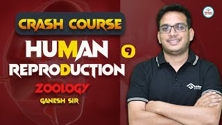 HUMAN REPRODUCTION CLASS 12  CRASH COURSE CUET  JET 2024  ZOOLOGY  NCERT LINE BY LINE  CUET [upl. by Jimmy]