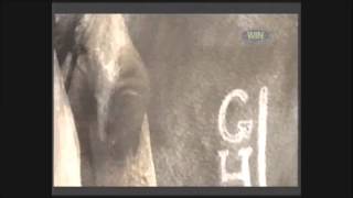 GTV NINE NETWORK Wide World Of Sports  Horse Racing opening title [upl. by Nahc]