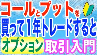 【オプション取引】コールとプットを両方買う戦略 ロングストラングルを１年売買すると [upl. by Brill649]