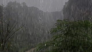 Fall Asleep Instantly with Soothing Rain ASMR  Rain Sounds For Sleeping Go on [upl. by Bulley]