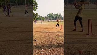 Catch Out  Public Cricket Video 🏏shorts cricketshorts cricket cricketlover trending [upl. by Nytsud]