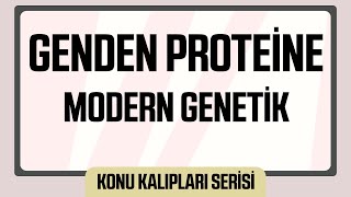 Öğrencilerimizin En Sevdiği Konu  GENDEN PROTEİNE  MODERN GENETİK [upl. by Morice]