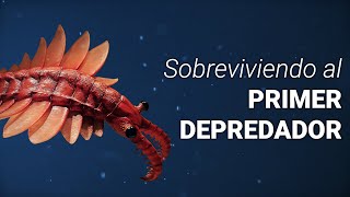 ¿El primer depredador impulsó la evolución  Periodo Cámbrico [upl. by Mirna384]