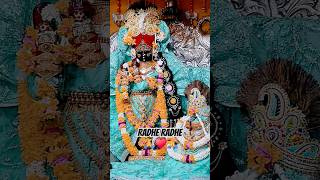 Radha vallabh shree harivans Radha vallabh lal ki jai radha love song music vairl live like [upl. by Aerdnaxela864]