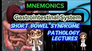 Gastrointestinal System Pathology Lecture 113 Short Bowel Syndrome SHORT BOWEL SYNDROME [upl. by Nyladnohr]