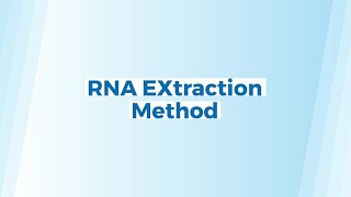 StepbyStep RNA Extraction  Protocol  Phenol Chloroform Extraction Method [upl. by Stefania]