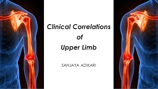 Upper Limb Clinical Correlations [upl. by Chatterjee]