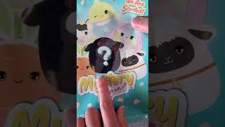 Squishmallow  Mystery Blind Bag Unboxing [upl. by Cost]