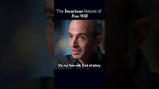 The Incurious Nature of Free Will  Yuval Noah Harari shorts [upl. by Navaj]